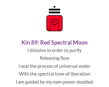 kin89