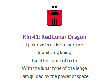 kin41
