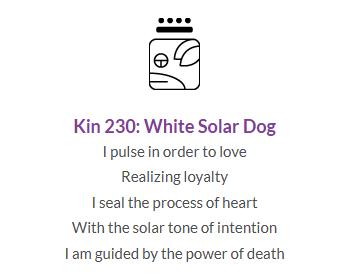 kin230