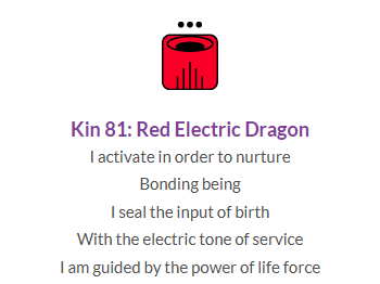 kin81