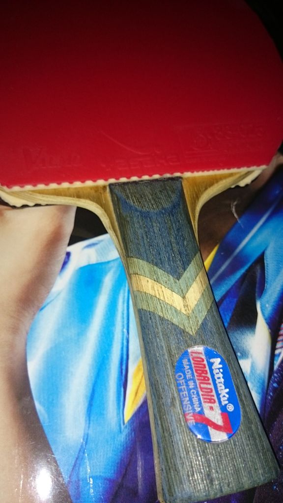 卓球用具 ワイハ ｓノート In 津軽