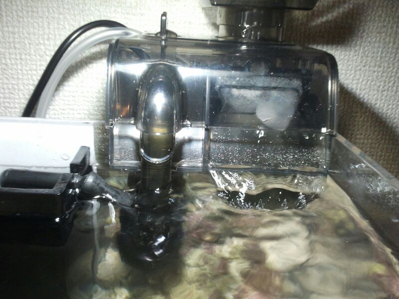 海道河童フィルター 小 をクロスミニに導入 ニッソー クロスミニ 超小型オーバーフロー水槽