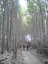 �Ҥ��ޤ�롼�Ȥ����Ӥ��̤�