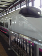 0a252a80.jpg