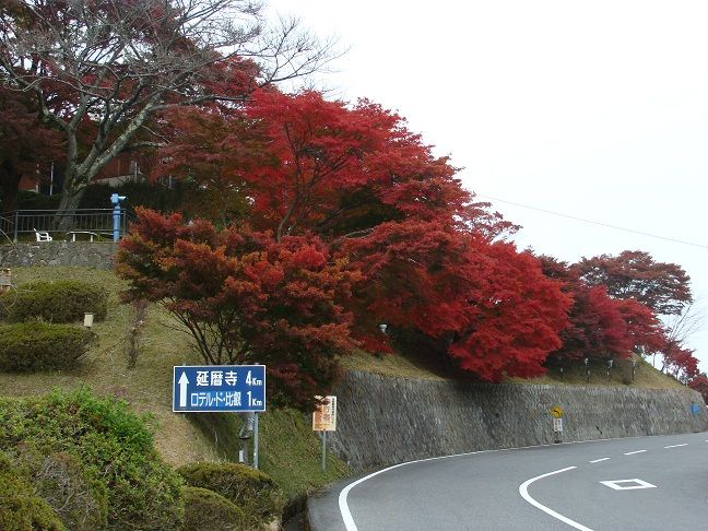 比叡山 夢見が丘にて