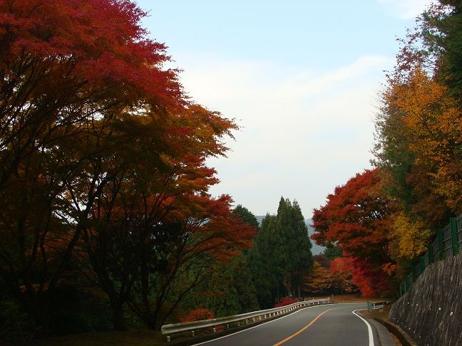 比叡山 横川から走る