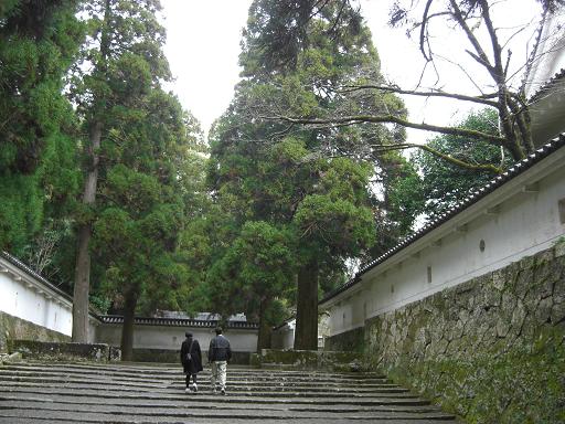 飫肥城址の石段と白壁と飫肥杉が印象的