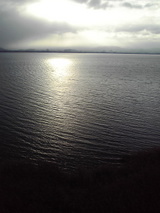 3422cee6.jpg