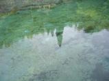 湧水の面に映る緑色が何とも綺麗