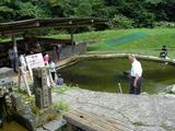 やまめの釣り堀