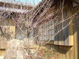 西郷恵一郎邸には梅の花