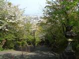 熊本市内が銅像のある公園からは良く見えた