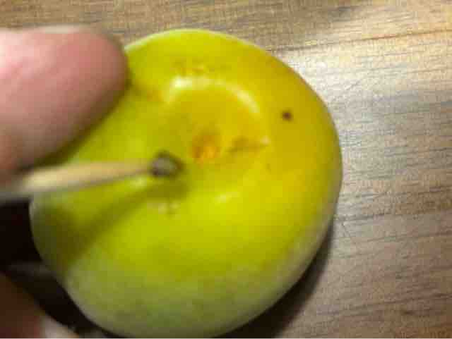 FullSizeRender