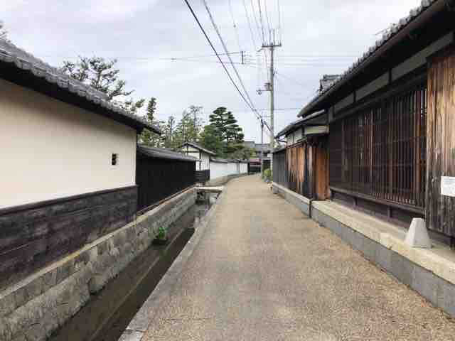 IMG_8917