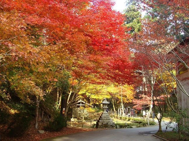 比叡山 横川龍ケ池にて