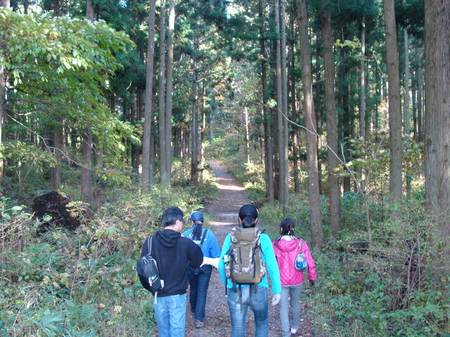 DSC04031