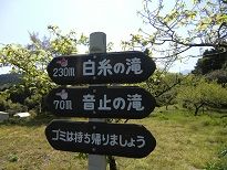 fCIMG4138