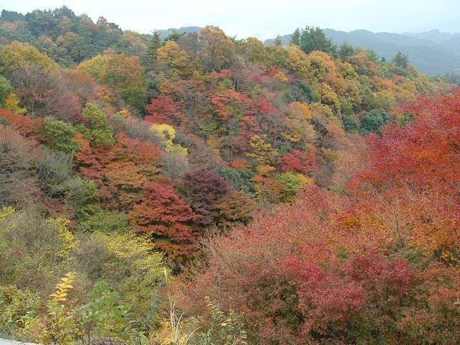 比叡山 登仙台から