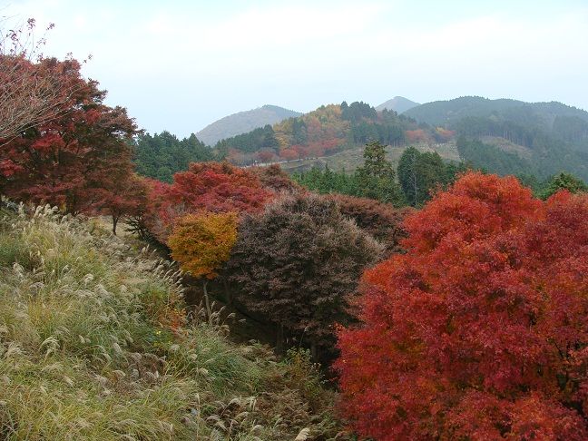 比叡山 峰道レストラン展望台から