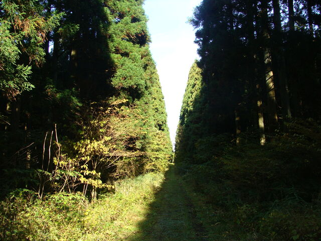 DSC04049