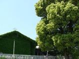 城東橋教会