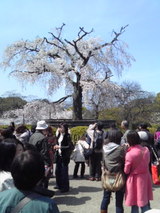 d7f230eb.jpg