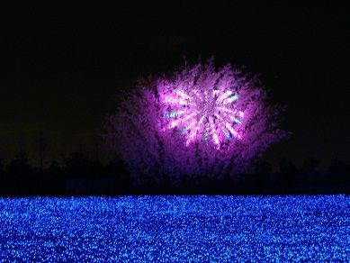 aDSC04694