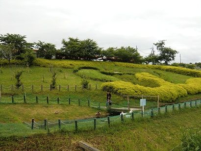 aCIMG4460