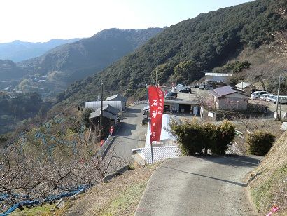 sCIMG3113 梅林を見下ろす