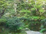 庭園