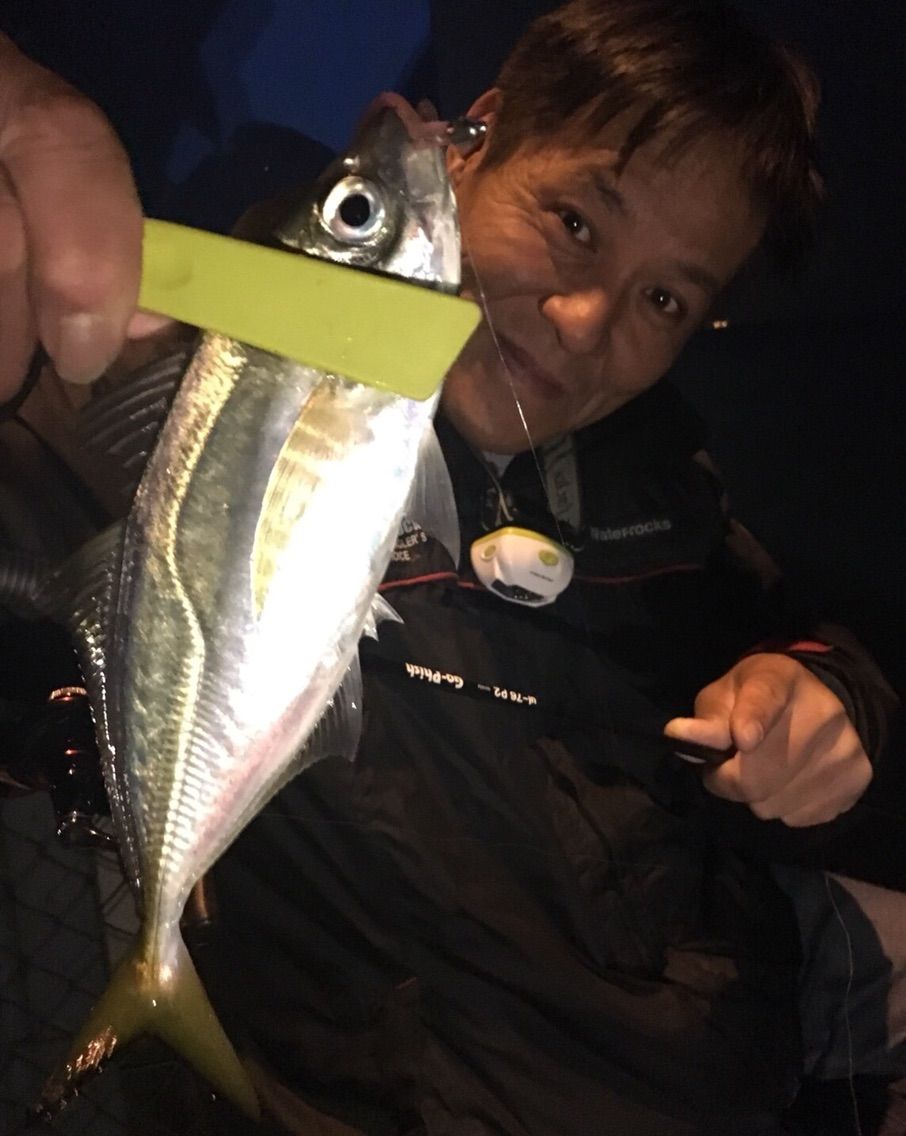 大阪湾奥ジャンボ Y師匠の釣りブログ 大阪湾奥ジャンボ Y師匠の釣りブログ
