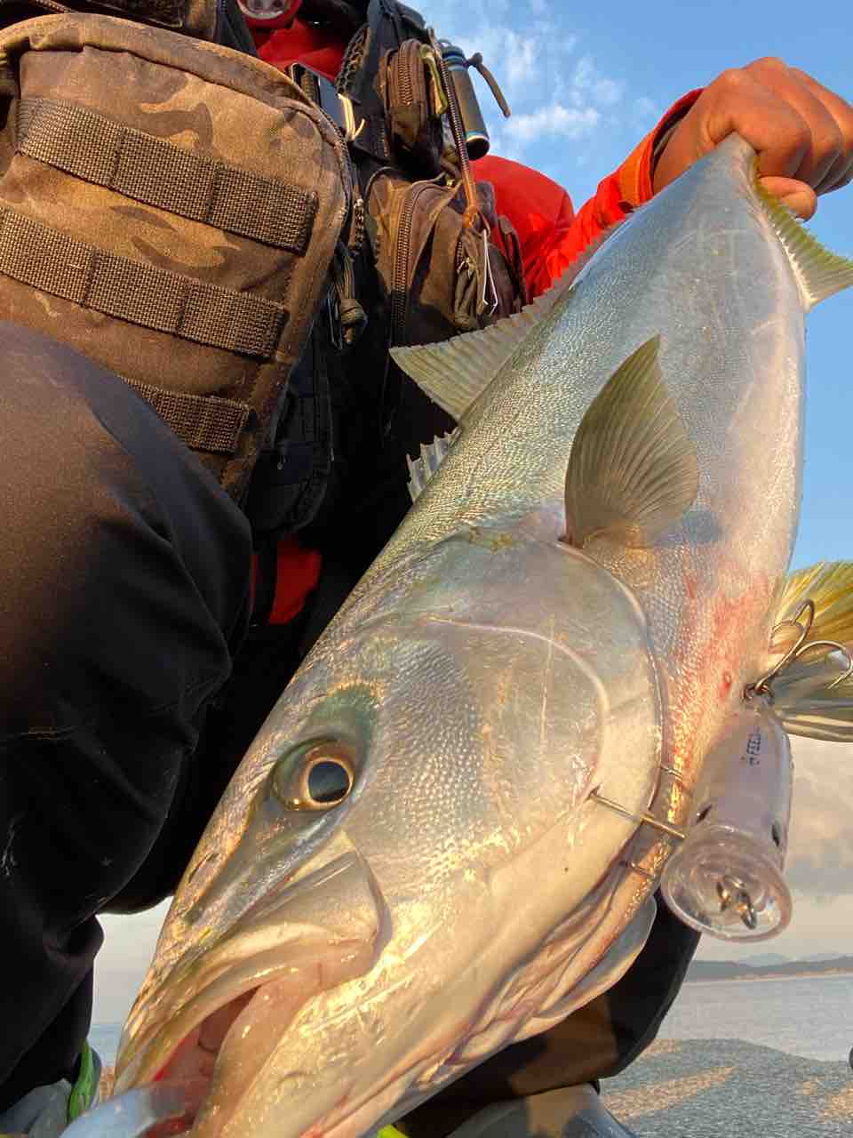 頼りになりますフィードポッパー Y師匠の釣りブログ