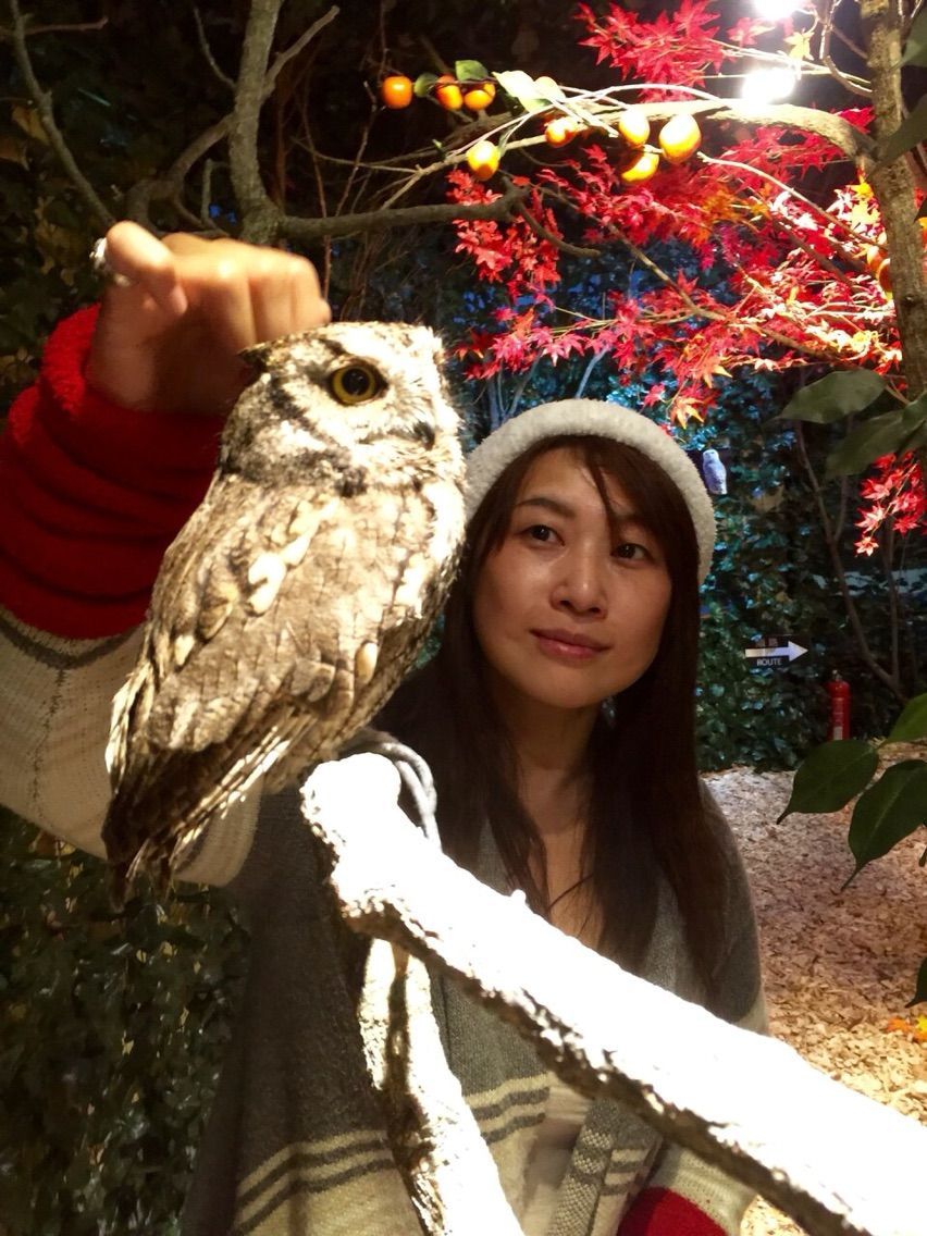 1790 北鎌倉散歩 今日のお知らせ ﾟ ﾟ