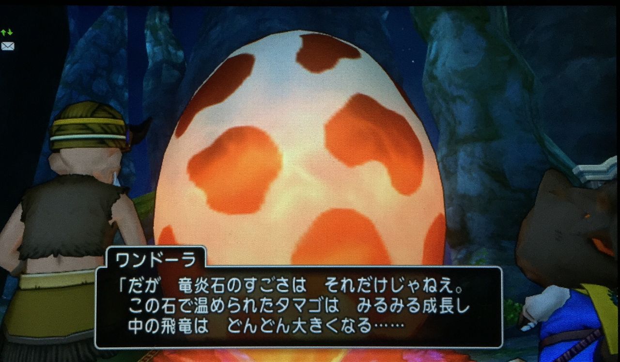 飛竜ゲット W わいわい堂 飛竜ゲット W わいわい堂