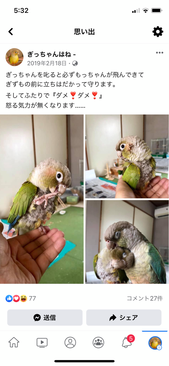 もっちゃんとあとむ Waka のの のあ そしてぎずも