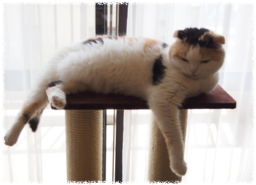 4xF54jT5DKmneR51465028119_1465028152