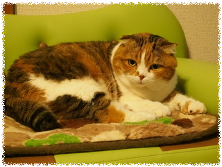 umijLYLMHFNTf1u1455609569_1455609614