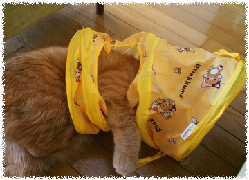 Nw5u1EdqZNs2dkY1463729523_1463729560