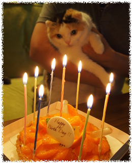 nXXhchrevxShH_n1463729276_1463729308