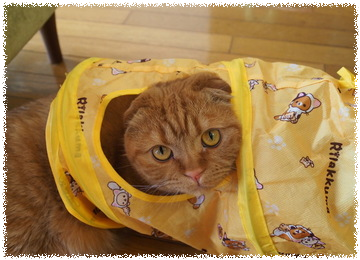 ZQc_BF7oGd0HxEO1463729406_1463729489