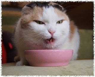 1461127719GE2y1KDHg0GiizG1461127717