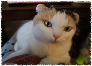 T9CXw7pDUqNRhAO1466143717_1466143745