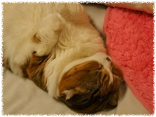 avXFYtVxGACmnXh1445577496_1445577499