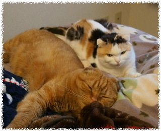 vPfaKWjkWS7ExEl1459773776_1459773804