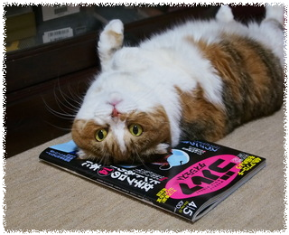 Pat1sOy9Ig2kssB1463729040_1463729099