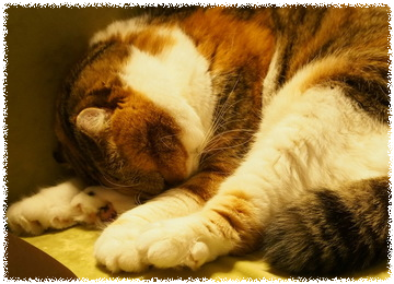 pLbOBCf13dJuuVa1465028222_1465028292 (1)