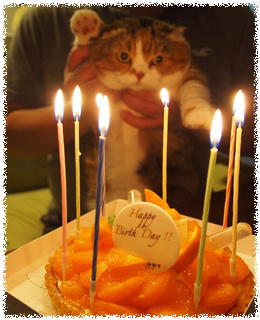 ZTa2kYSVKoy4YOv1463729169_1463729248