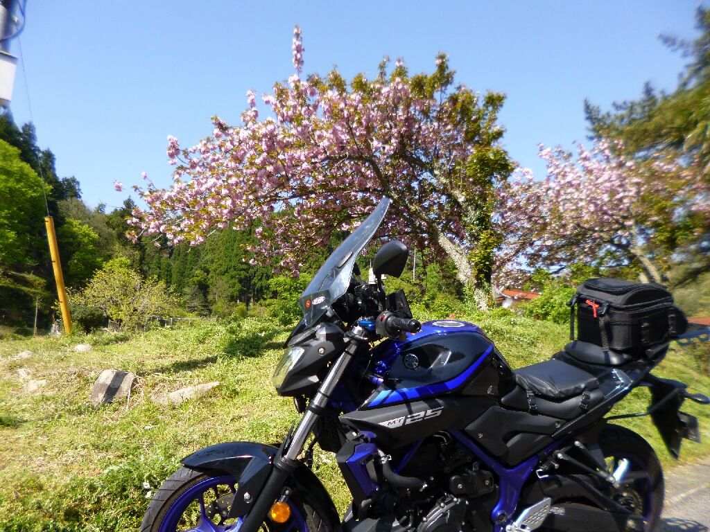 Mt 25 チーズツーリング 思わぬ出会い カプチーノとビラーゴ Mt 25 チーズツーリング 思わぬ出会い カプチーノとビラーゴ