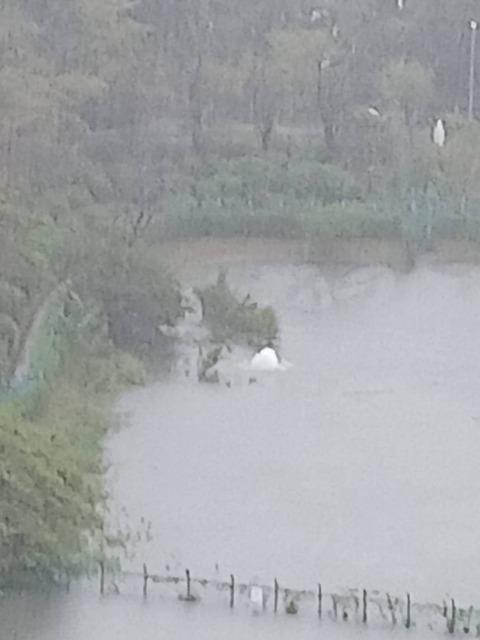 2026.9.21遊水池２