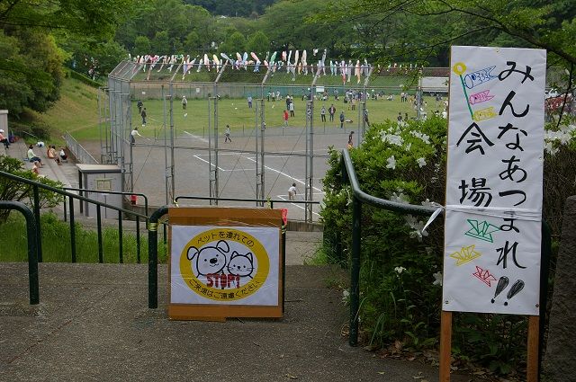 鯉のぼりはためく若葉台公園多目的広場で多世代交流 みんなあつまれ 若葉台連合自治会